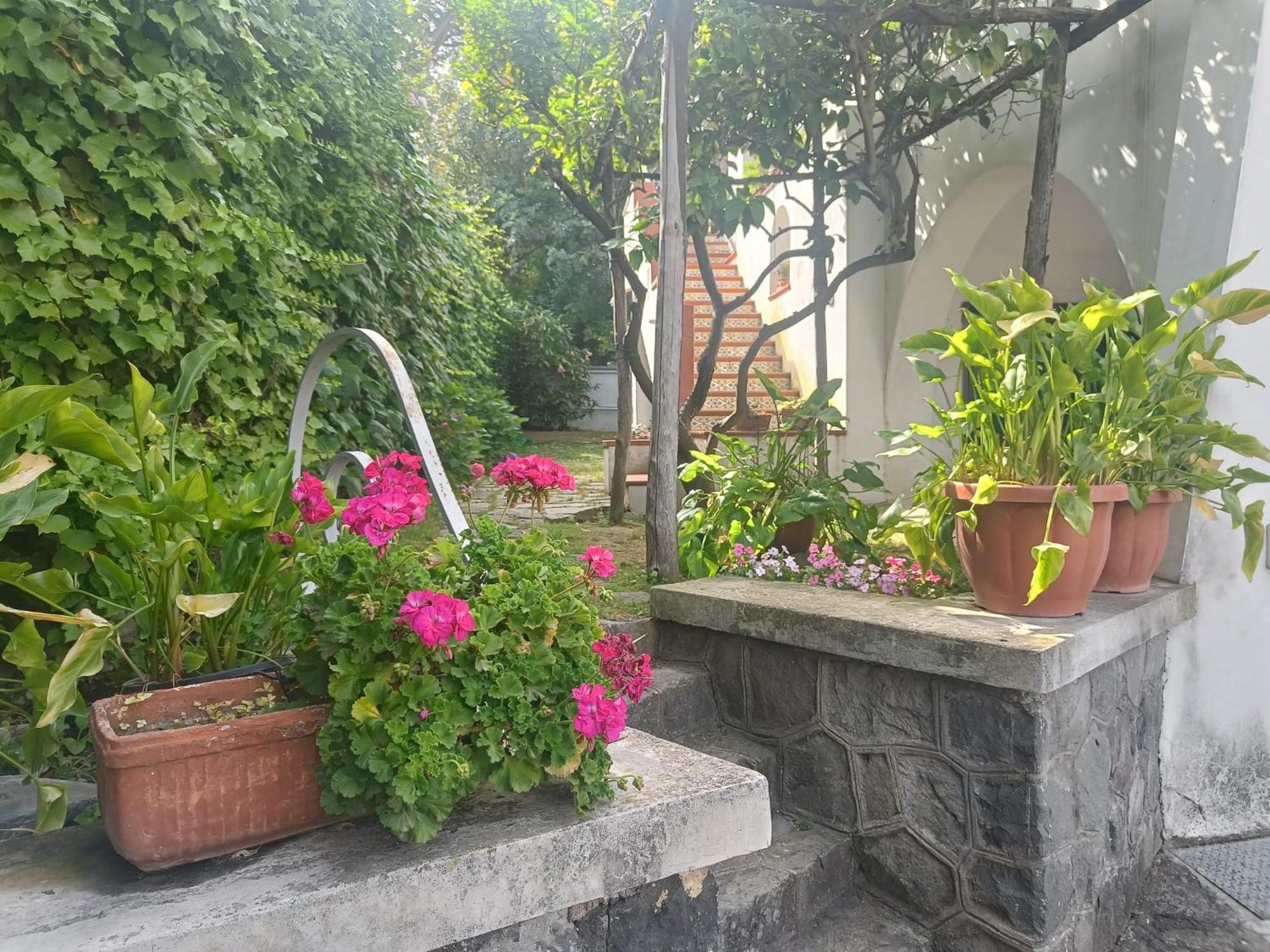 Appartamento Casa Olivella Torre del Greco Esterno foto